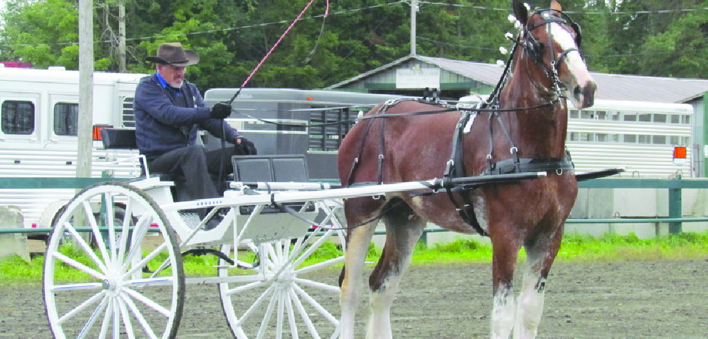 Expo Cookshire