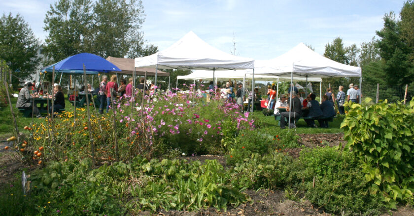 Fête des récoltes de Sawyerville