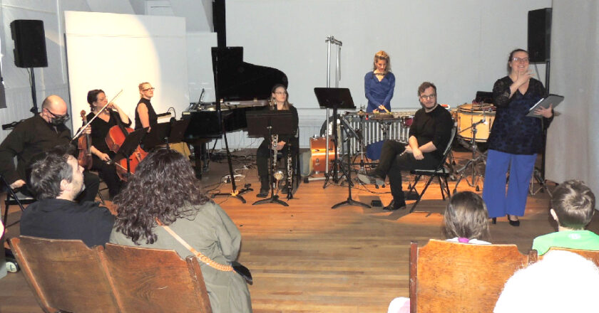 PremierSpectacleMusique-GalerieCookshire